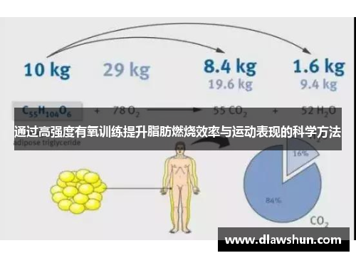 通过高强度有氧训练提升脂肪燃烧效率与运动表现的科学方法