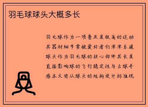 羽毛球球头大概多长